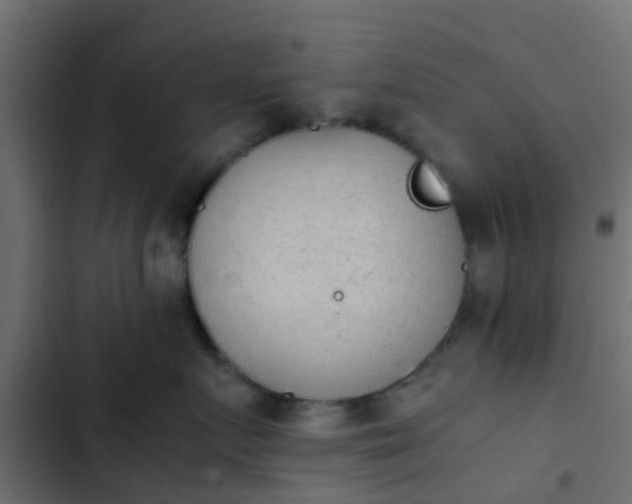 X0000103960719200809261811