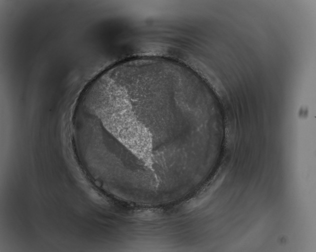 X0000103960721200809261811