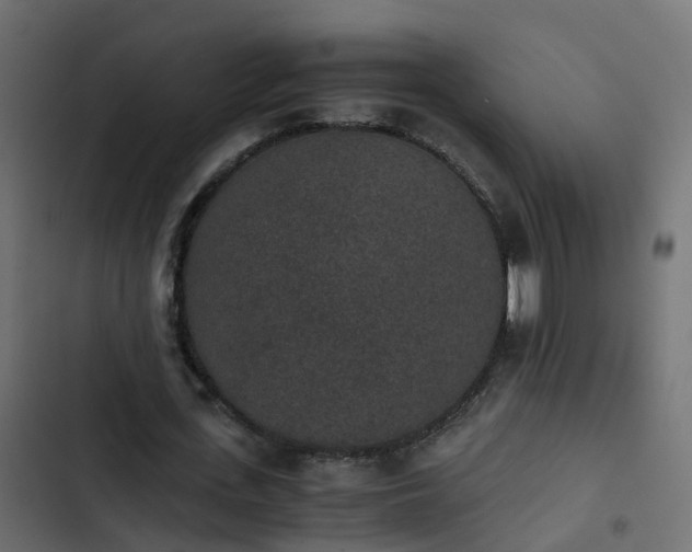 X0000103960723200809261811
