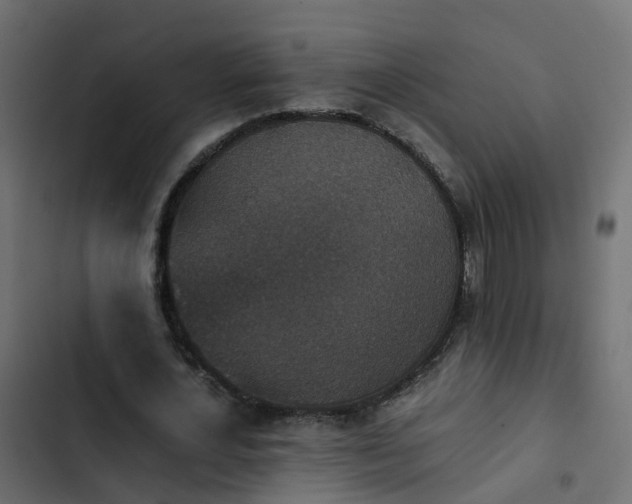 X0000103960724200809261811