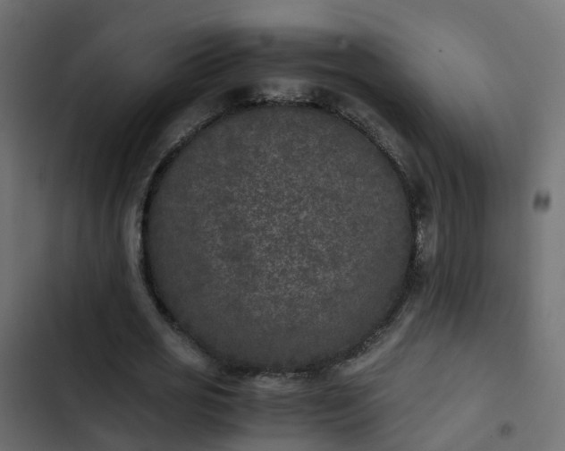 X0000103960725200809261811