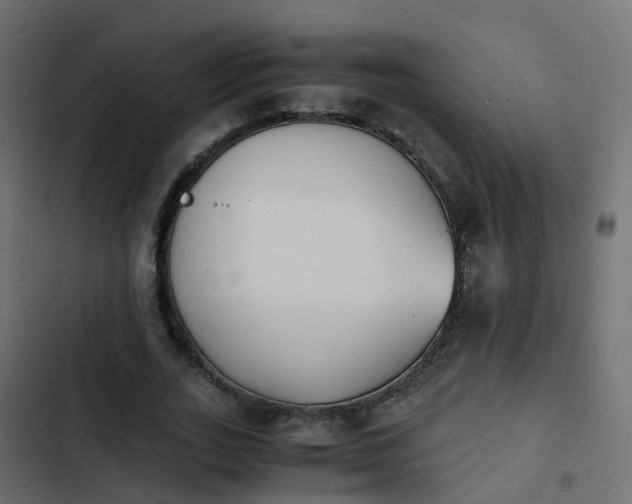 X0000103960727200809261811
