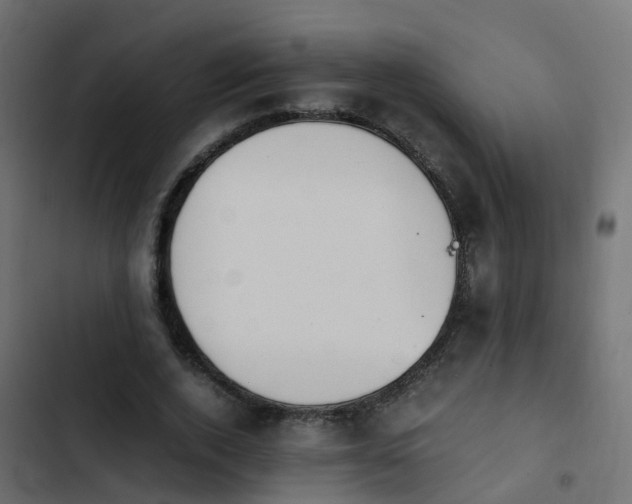 X0000103960728200809261811