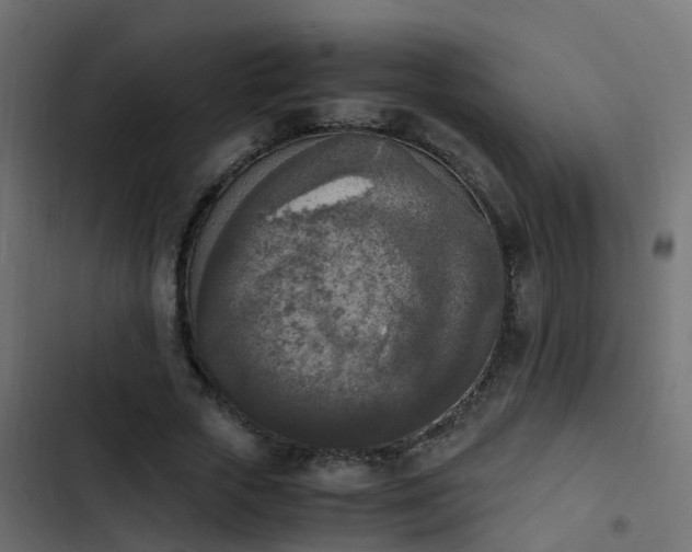X0000103960729200809261811