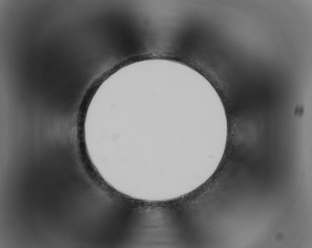 X0000103960730200809261811