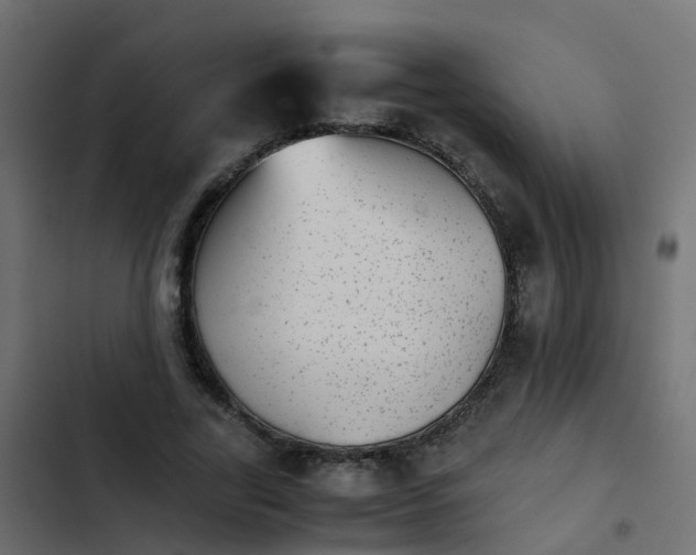 X0000103960731200809261811