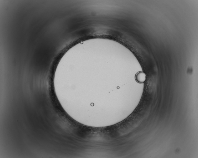 X0000103960732200809261811