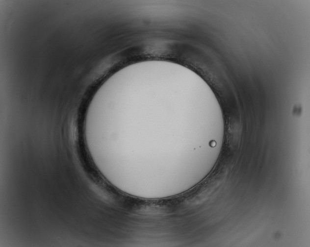X0000103960734200809261811