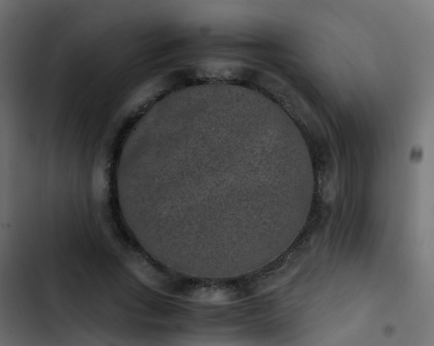 X0000103960735200809261811