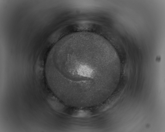 X0000103960737200809261811