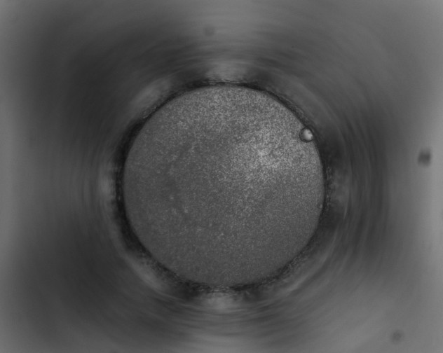 X0000103960738200809261811