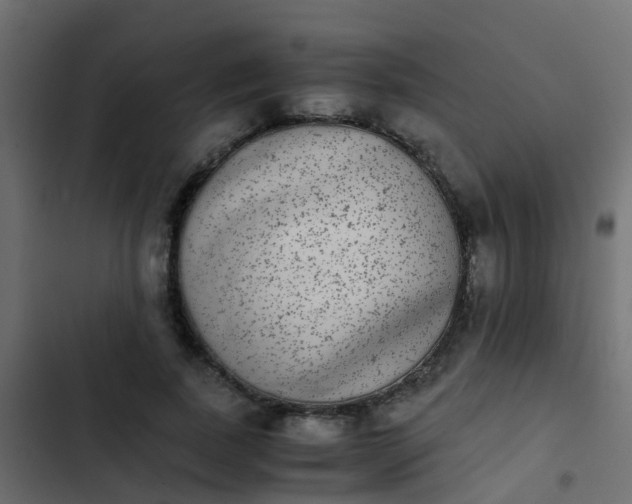 X0000103960739200809261811