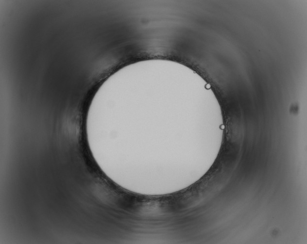X0000103960740200809261811