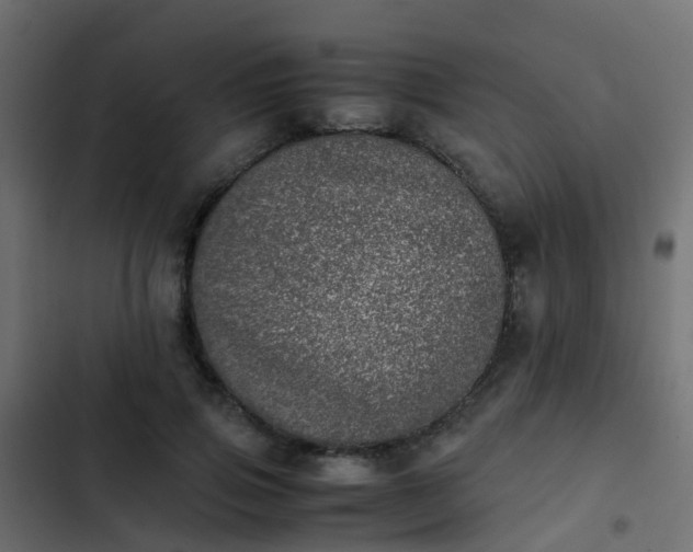 X0000103960741200809261811