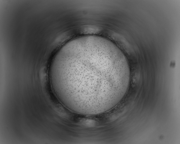 X0000103960743200809261811