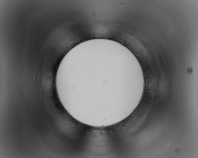 X0000103960744200809261811