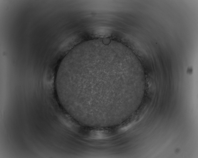X0000103960745200809261811