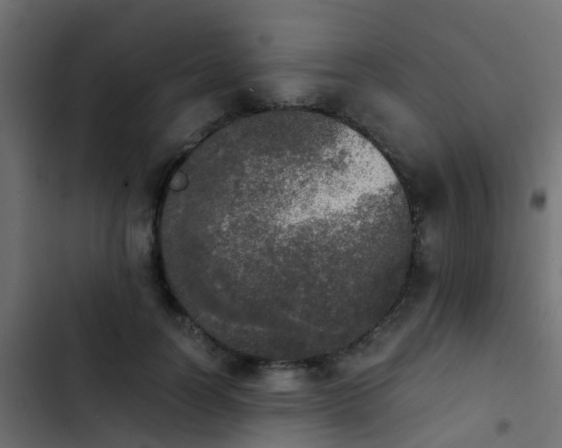 X0000103960746200809261811