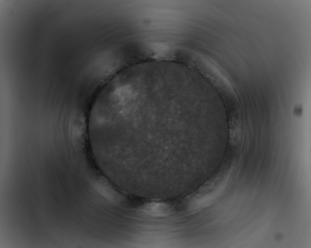 X0000103960748200809261811