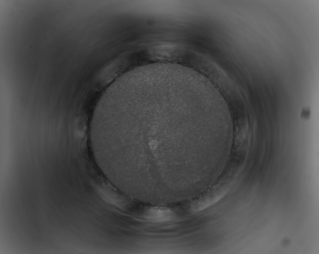 X0000103960749200809261811