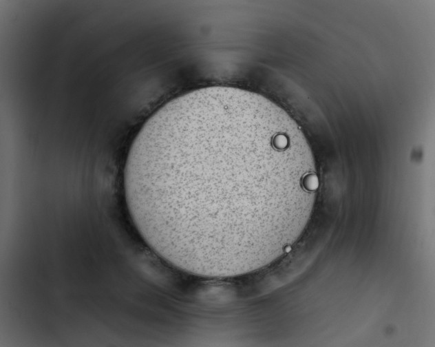 X0000103960750200809261811