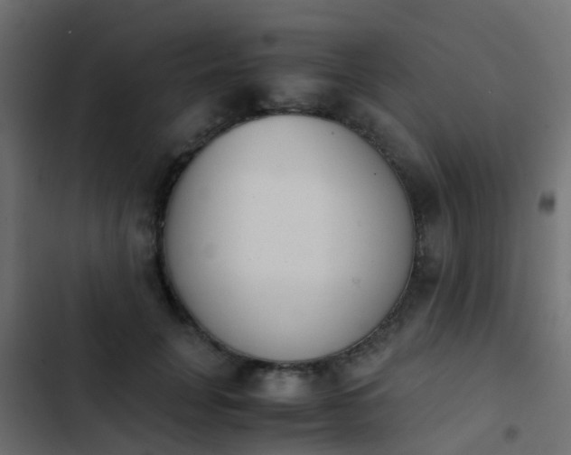 X0000103960751200809261811