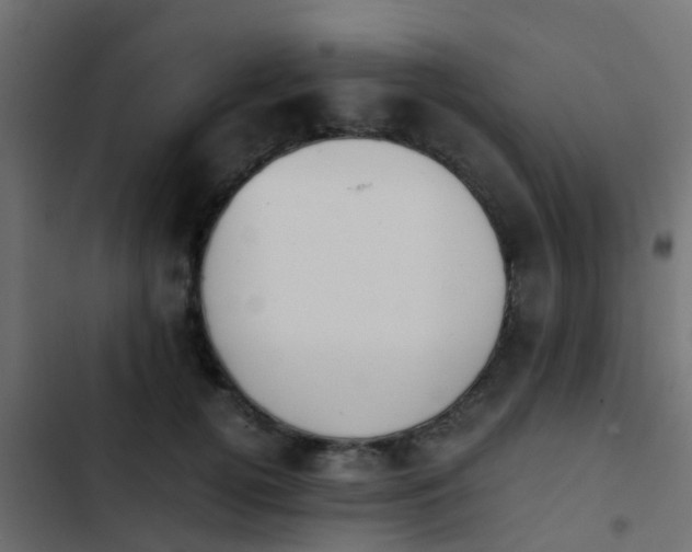X0000103960752200809261811