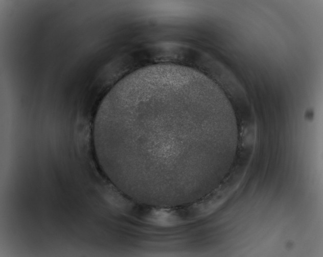 X0000103960753200809261811
