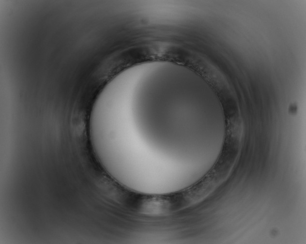 X0000103960754200809261811