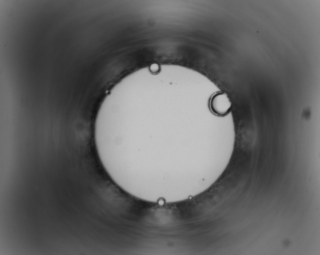 X0000103960756200809261811