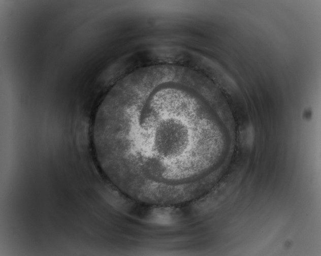 X0000103960757200809261811