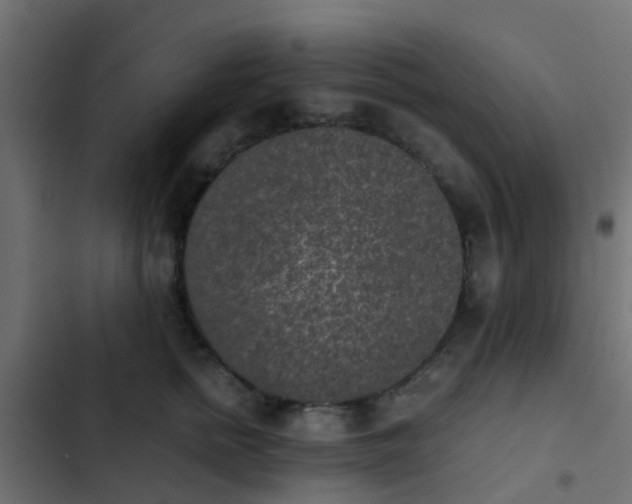 X0000103960758200809261811