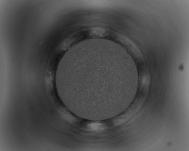 X0000103960759200809261811