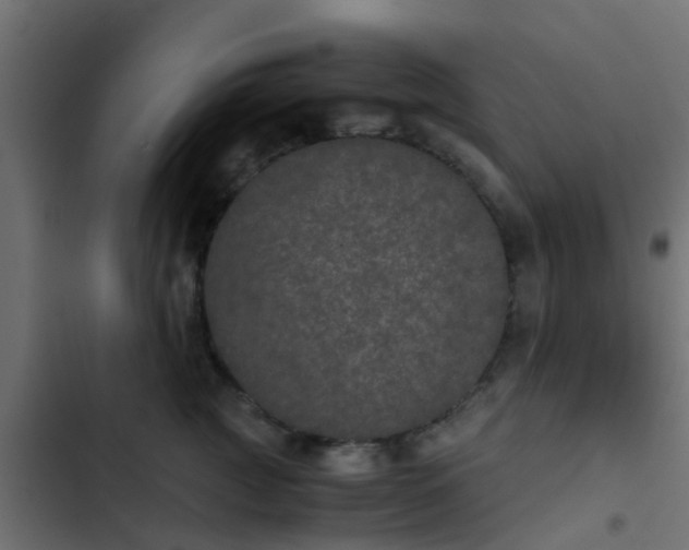 X0000103960761200809261811