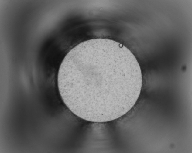 X0000103960762200809261811