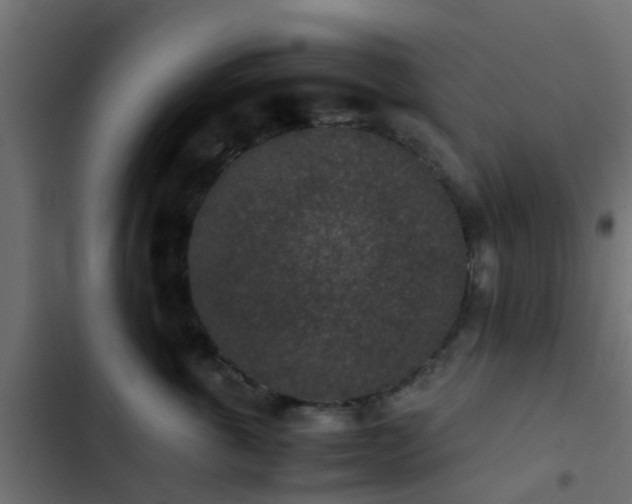 X0000103960763200809261811
