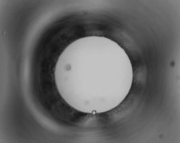X0000103960764200809261811