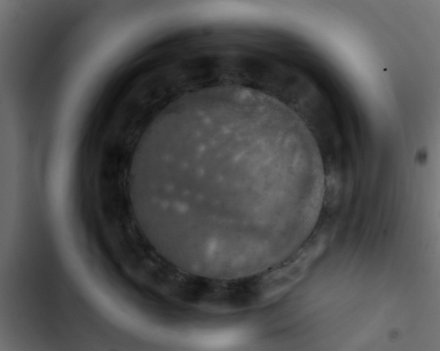 X0000103960765200809261811