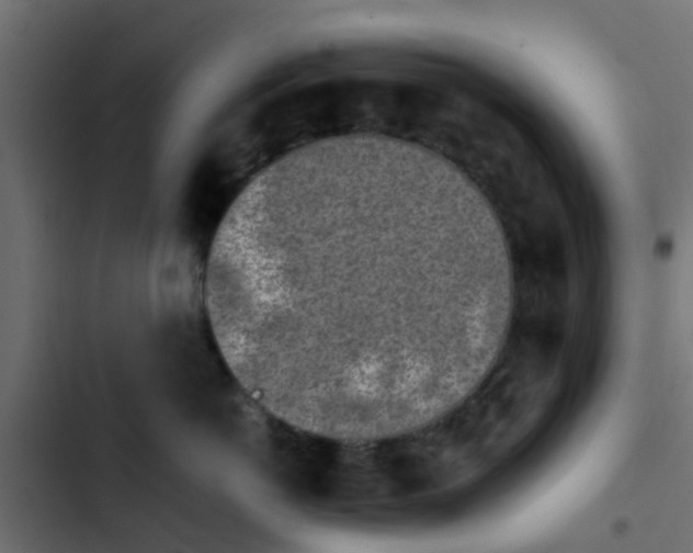 X0000103960766200809261811
