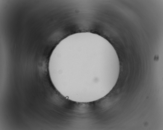 X0000103960768200809261811