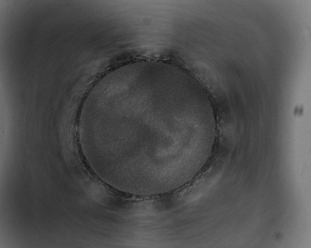 X0000103960769200809261810