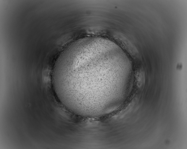 X0000103960770200809261810