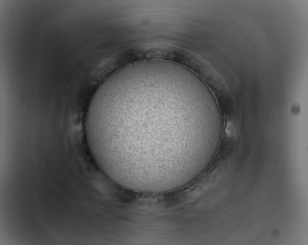 X0000103960771200809261810