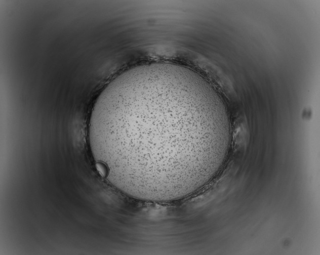 X0000103960772200809261810