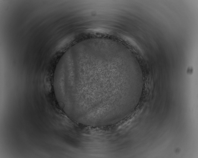 X0000103960774200809261810