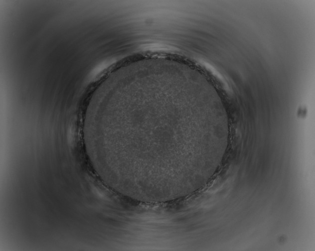 X0000103960775200809261810