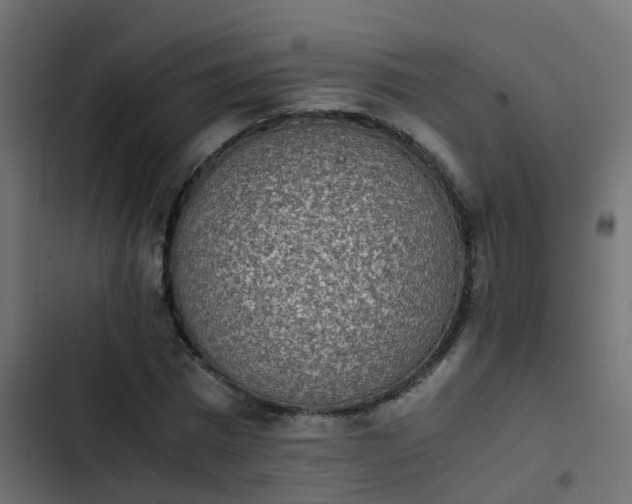 X0000103960777200809261810