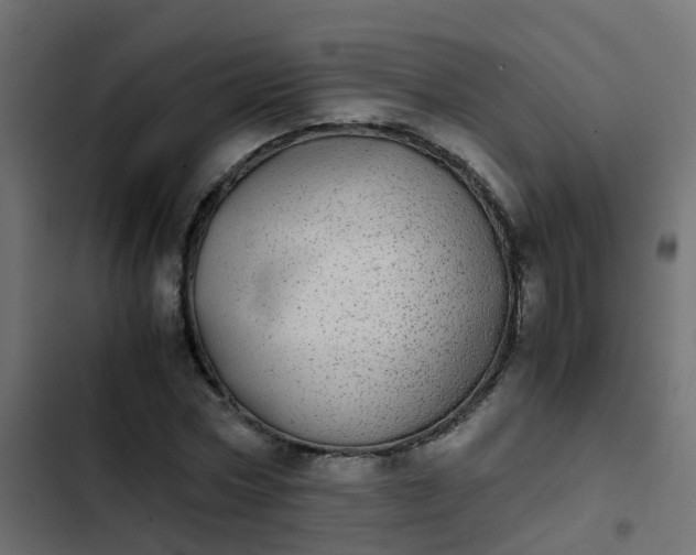 X0000103960778200809261810