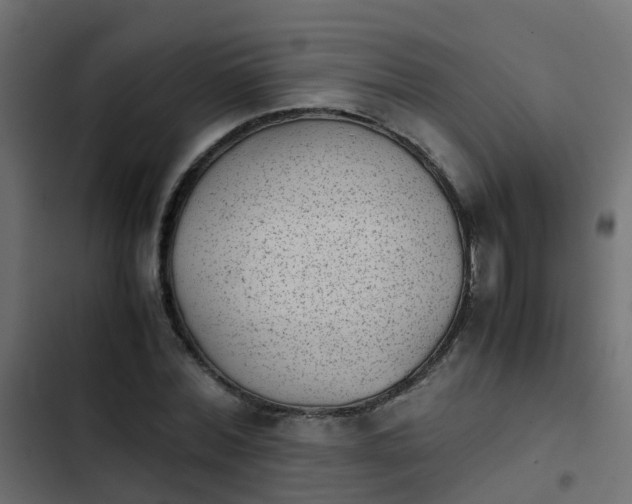 X0000103960780200809261810