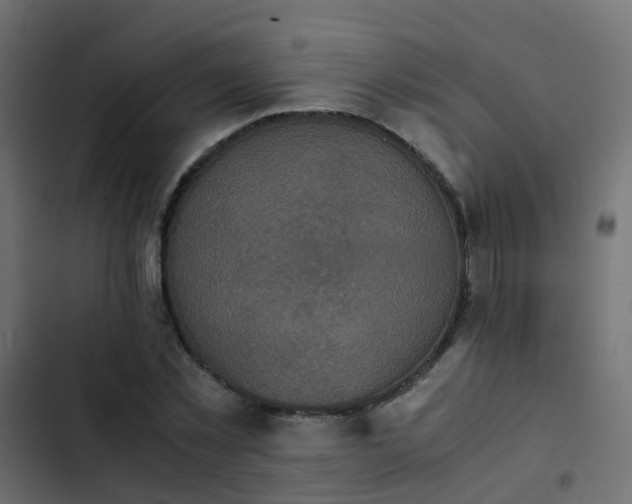 X0000103960781200809261810